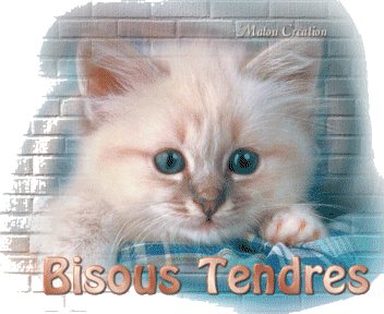 a tous