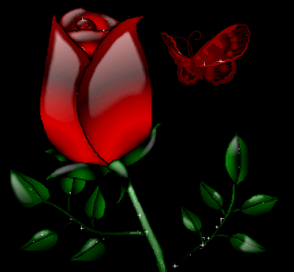 rose rouge