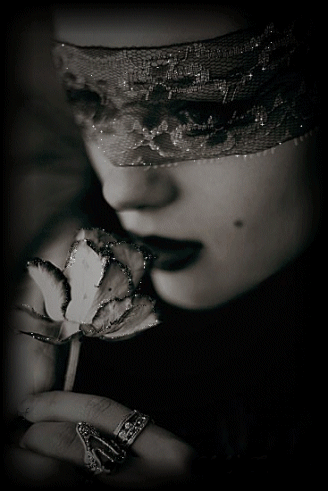 une rose