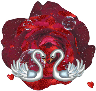aimer