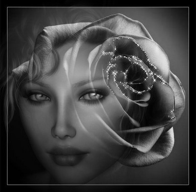 femme